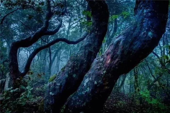 【夢想聚團隊 團隊創輝煌】西微雅團建活動——長白山之旅(圖13)