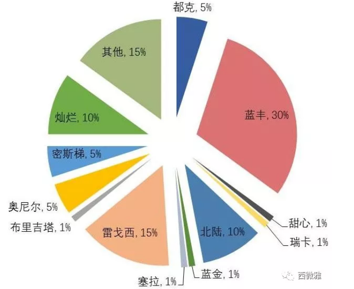 珍貴的果脯-藍莓干(圖7)