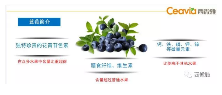 珍貴的果脯-藍莓干(圖9)
